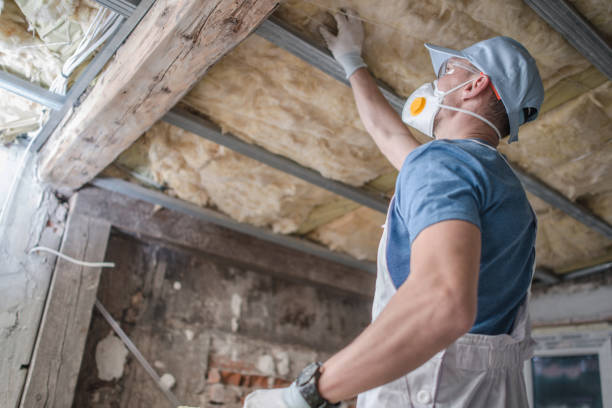 Best Attic Insulation Installation  in Deerfield, IL