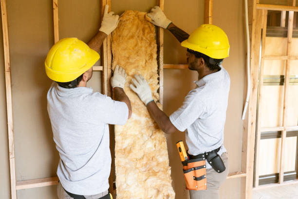 Eco-Friendly or Green Insulation Solutions in Deerfield, IL